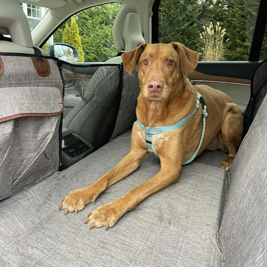 HappyTails & Yev™ Dog Car Back Seat Cover – Waterproof & Scratch-Resistant