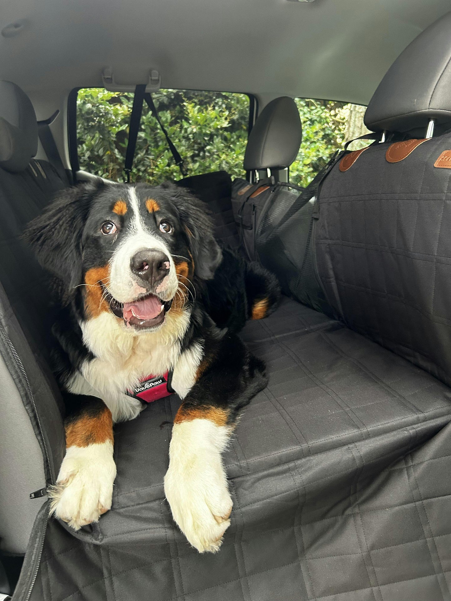 HappyTails & Yev™ Dog Car Back Seat Cover – Waterproof & Scratch-Resistant
