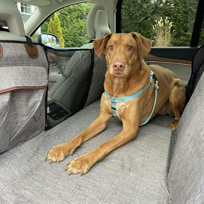 HappyTails & Yev™ Dog Car Back Seat Cover – Waterproof & Scratch-Resistant