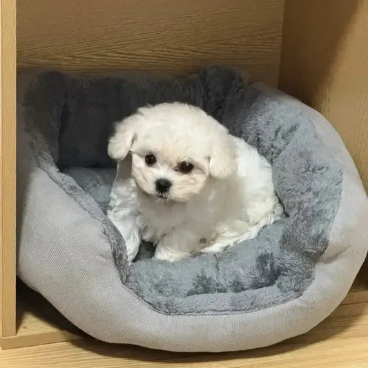 Fluffy Pet Bed for Dogs & Cats – Cushion Basket House