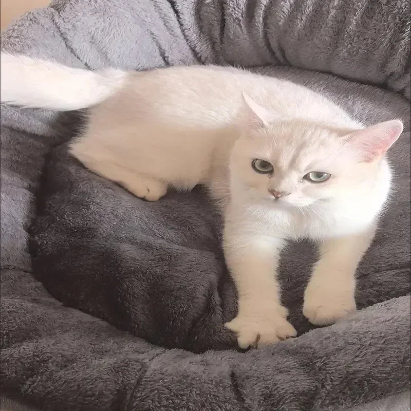 Fluffy Pet Bed for Dogs & Cats – Cushion Basket House